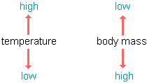 illustration of the negative correlation between environmental temperature and body mass in humans and other warm blooded animals--if the environmental temperature is high, body masses tend to be low and if the temperature is low, body masses tend to be high