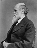 photo of Charles Darwin