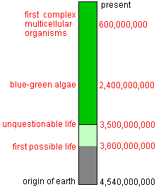 time chart of early life