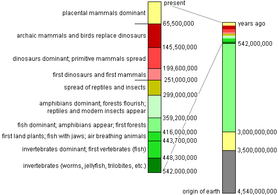 time chart of recent life