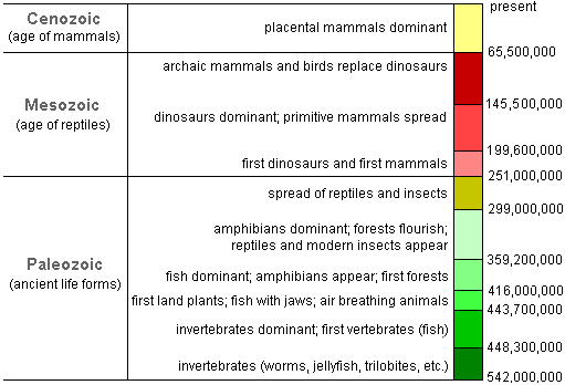 time chart of recent life related to geological eras