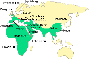 Map of the Important Homo erectus Sites