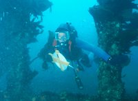 photo of a woman archaeologist with measuring equipment diving on a shipwreck