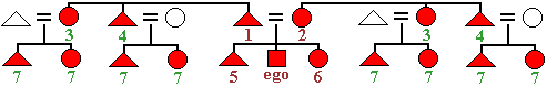 The kin naming system in which cousins are lumped together and given the same kin name, while siblings are distinguished from cousins and given gender specific kin name