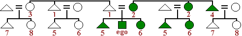 The kin naming system that is almost a mirror of the Omaha system