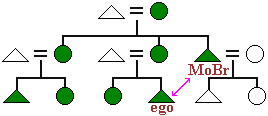 kinship diagram of a matrilineal extended family with the link between a male child to his mother's brother highlighted