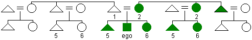 Diagram of the Crow kin naming system with terms for siblings, parallel cousins, and mother's sister labeled with numbers