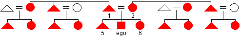 Diagram of the Eskimo kin naming system with the terms for nuclear family members labeled with numbers