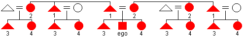 Diagram of the Hawaiian kinship naming system with the terms for relatives in ego's own generation labeled with numbers