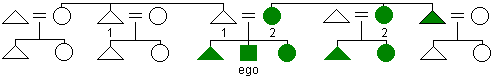 Diagram of the Iroquois kin naming system with terms for ego's parents and some of their siblings labeled with numbers