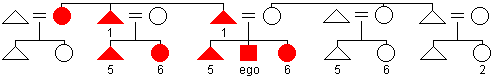 Diagram of the Omaha kin naming system with terms for siblings, parallel cousins, and father's brother labeled with numbers