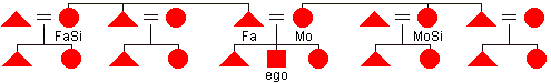 Diagram of an extended family with the maternal and paternal aunts labeled