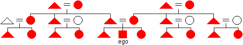 Diagram of bilateral descent