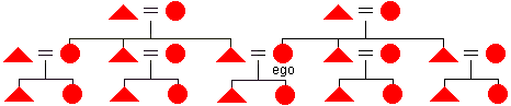 Diagram of a bilateral kindred in which consanguines are considered relatives