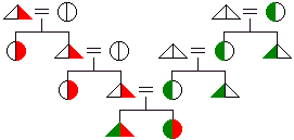 Diagram of bilineal descent