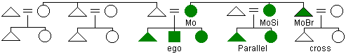 Diagram of matrilateral parallel and cross cousins