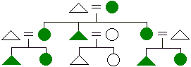 Diagram of matrilineal descent