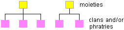 Diagram of moieties and their relationship to clans and phratries