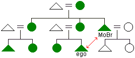 Diagram of matrilineal descent highlighting the importance of mother's brother's relationship to her son