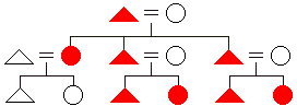 Diagram of patrilineal descent