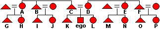 A kinship diagram