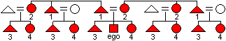 A kinship diagram