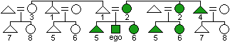 A kinship diagram