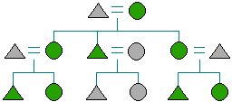 A kinship diagram