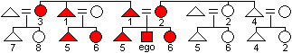 A kinship diagram