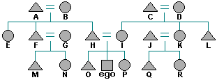 A kinship diagram