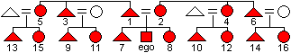 A kinship diagram