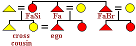 Kinship diagram showing cross cousin marriage in a society with patrilineal extended families