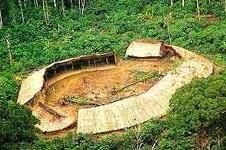 photo of a Yanomam village as seen from above