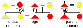 diagram of a patrilineal descent pattern with the cross cousins highlighted