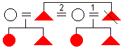 levirate diagram