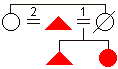 sororate diagram