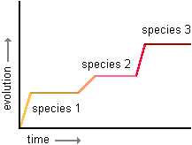 graph of punctuated equilibrium--short periods of rapid change interspersed with longer periods of no change