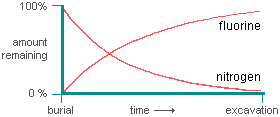 graph of changes in the amounts of fluorine and nitrogen over time in a buried bone--over time, the amount of fluorine increases and the amount of nitrogen decreases